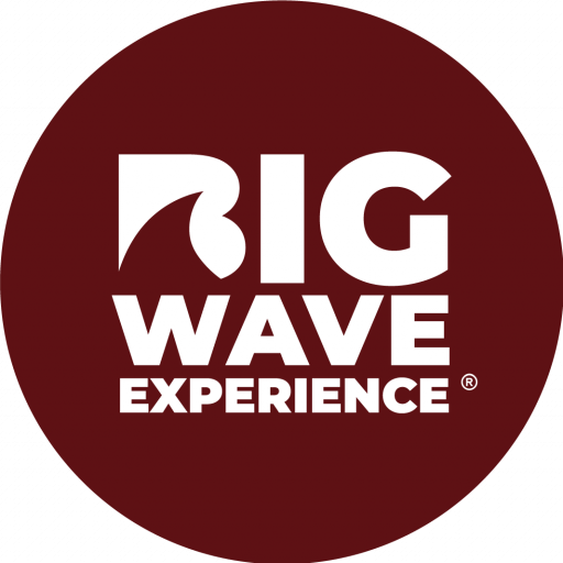 Big Wave Experience